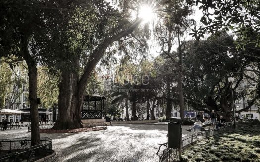 Empreendimento Borges 181