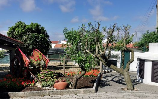 Fantástica Quinta T6 em Aveiras de Cima