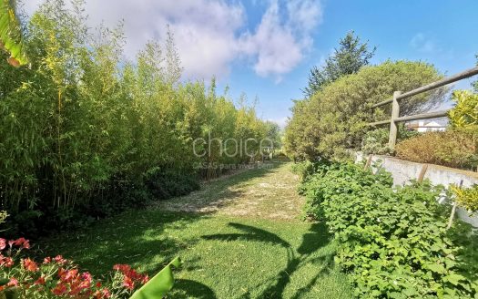 Fantástica Quinta T6 em Aveiras de Cima