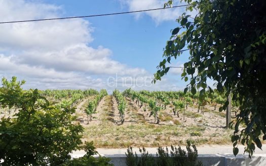 Fantástica Quinta T6 em Aveiras de Cima