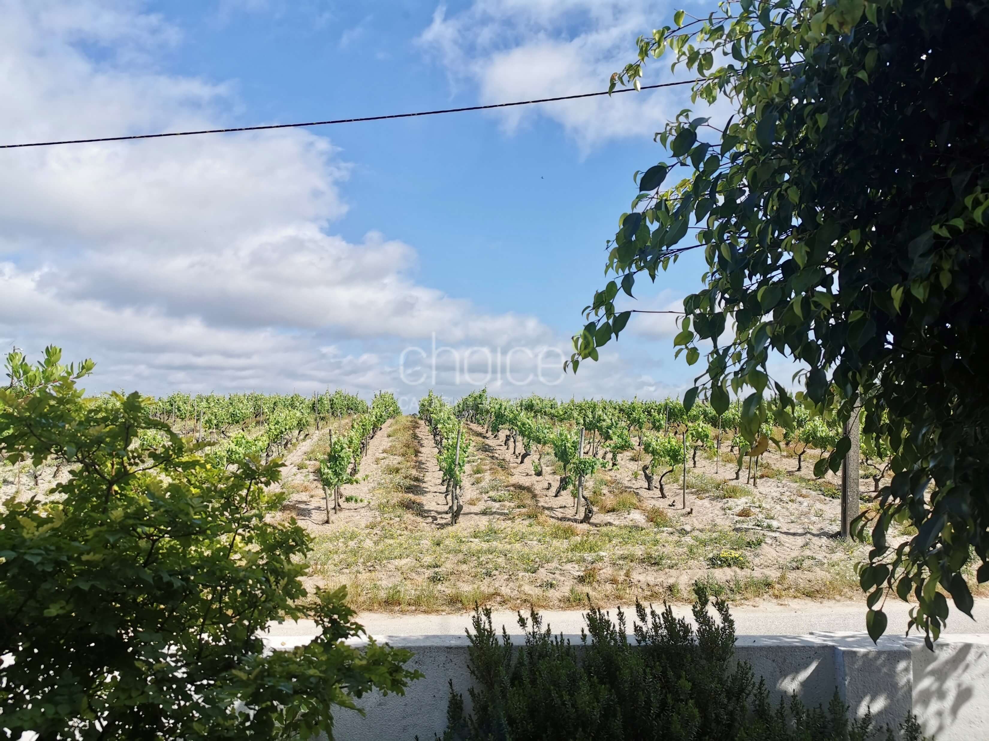 Fantastic 6-bedroom farmhouse in Aveiras de Cima