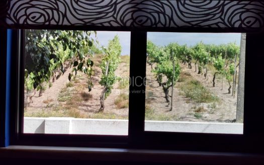 Fantástica Quinta T6 em Aveiras de Cima