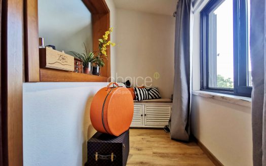 Fantástica Quinta T6 em Aveiras de Cima