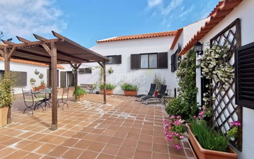 Fantástica Quinta T6 em Aveiras de Cima