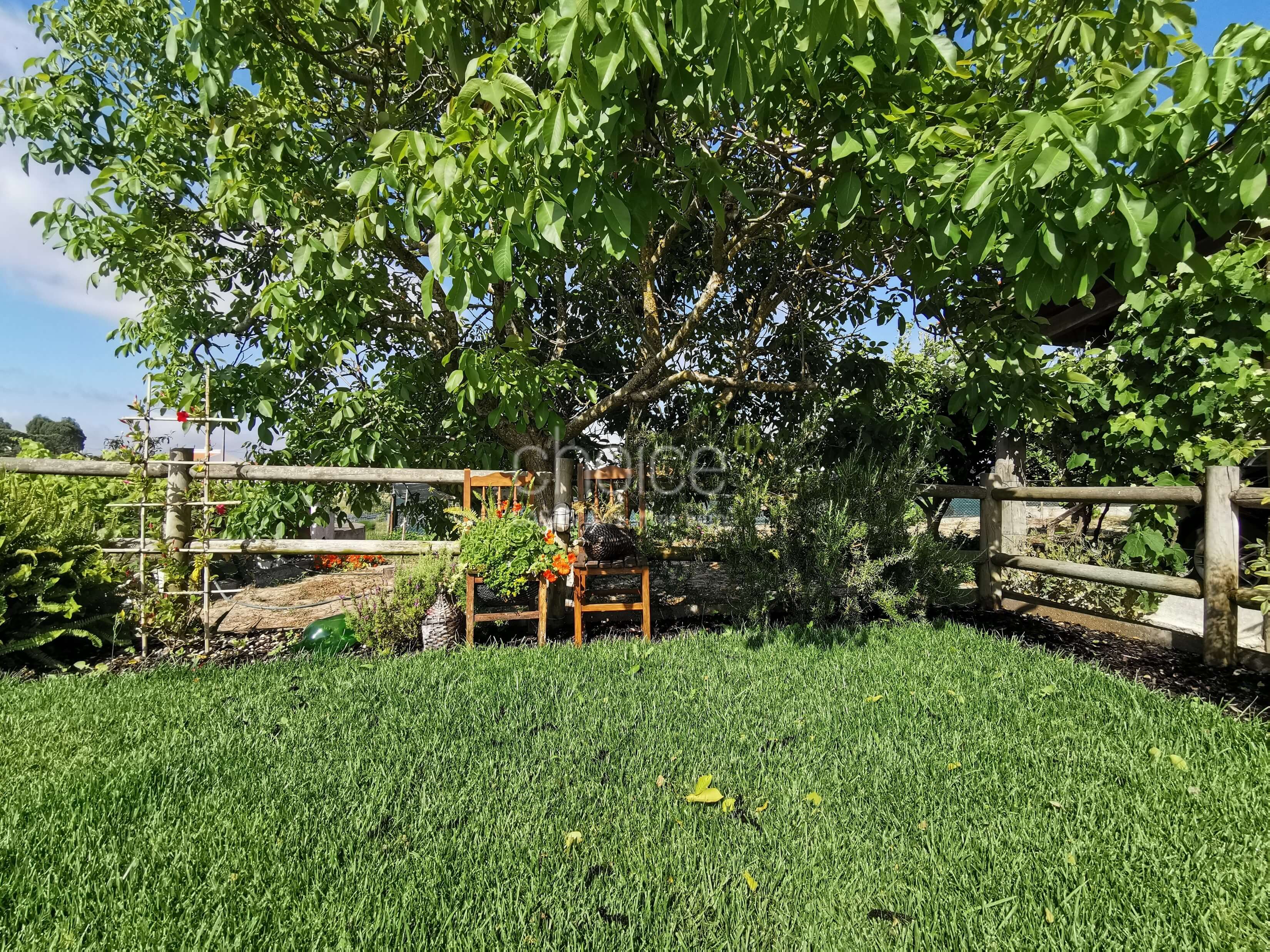 Fantastic 6-bedroom farmhouse in Aveiras de Cima