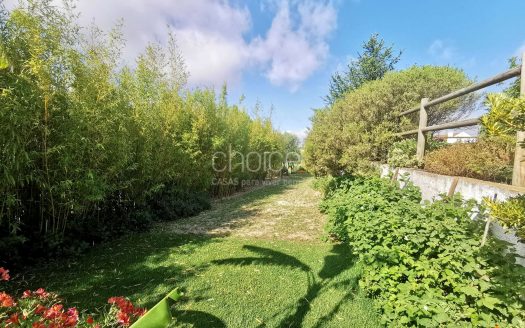 Fantástica Quinta T6 em Aveiras de Cima