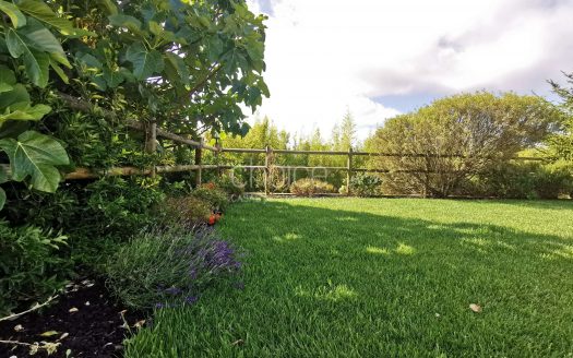 Fantástica Quinta T6 em Aveiras de Cima