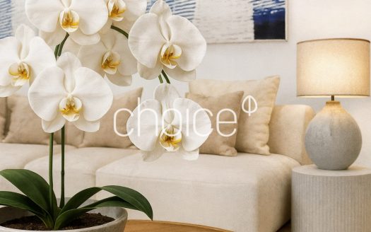 Gallery – Apartamentos T2 Andares Intermédios